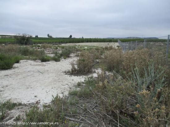 Terreno en el término de Ojos. (Murcia) - MURCIA