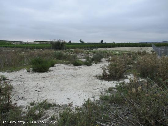 Terreno en el término de Ojos. (Murcia) - MURCIA