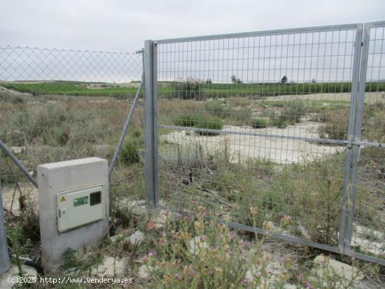 Terreno en el término de Ojos. (Murcia) - MURCIA