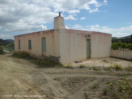 Finca Rústica, LOS GOMEZ, JARALES - MURCIA