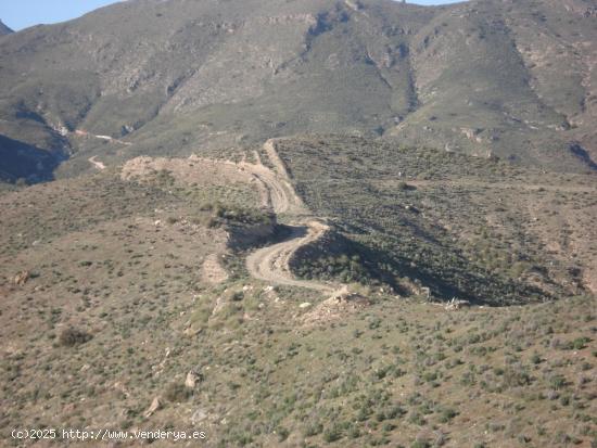 FINCA GOÑAR-HUERCAL OVERA 52 hectáreas y metida en un coto de 1.000 hectáreas - ALMERIA