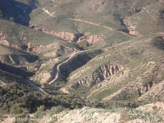 FINCA GOÑAR-HUERCAL OVERA 52 hectáreas y metida en un coto de 1.000 hectáreas - ALMERIA