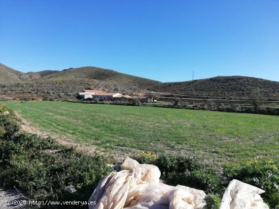 Finca rústica con Vivienda y Almacen. - MURCIA