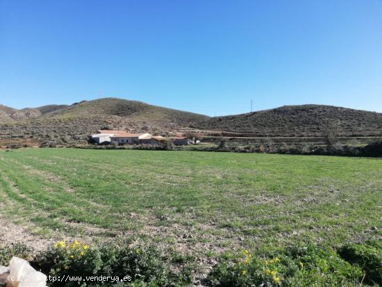 Finca rústica con Vivienda y Almacen. - MURCIA