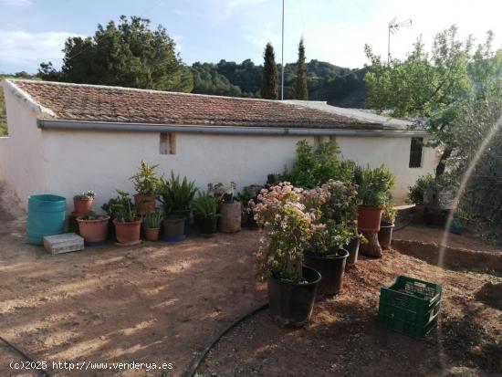 Casa con Terreno - MURCIA