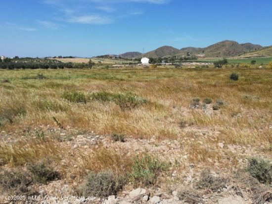 Terreno camino La Torre, junto autovía Lorca - MURCIA