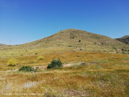 Terreno camino La Torre, junto autovía Lorca - MURCIA