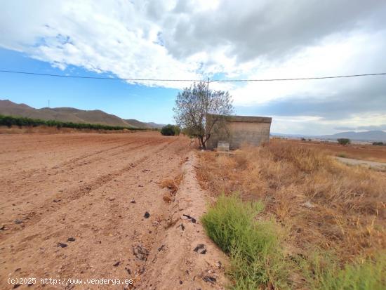  Terreno con edificacion antigua y suministro de luz - MURCIA 