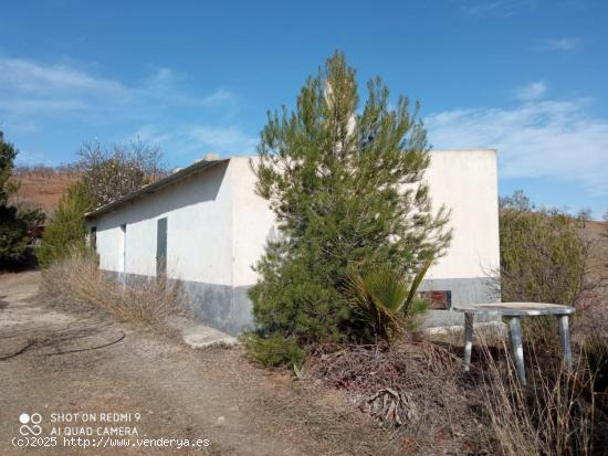  Casa con Terreno, Paraje Torrecilla Lorca. - MURCIA 