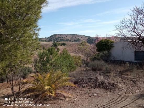 Casa con Terreno, Paraje Torrecilla Lorca. - MURCIA