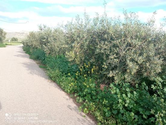  Terreno con nave para restaurar - ALMERIA 