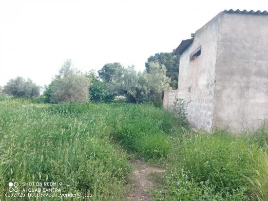 Terreno con nave para restaurar - ALMERIA