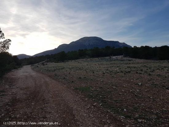  Terreno rustico, Pantano Valdeinfierno - MURCIA 