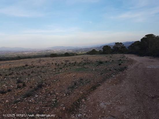 Terreno rustico, Pantano Valdeinfierno - MURCIA