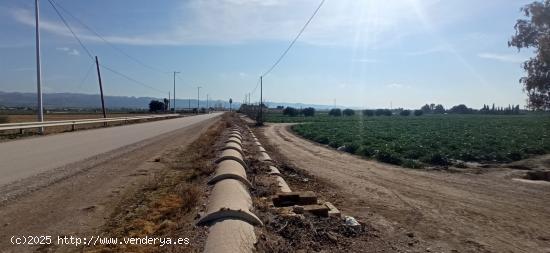 Parcelas a 10 minutos de Lorca - MURCIA