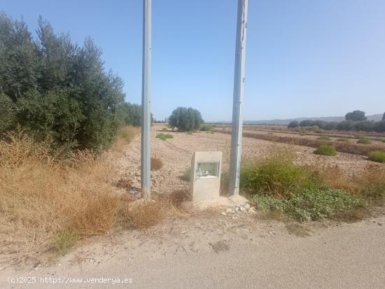  Parcela con punto de luz - MURCIA 