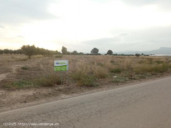  Parcela en Marchena - MURCIA 