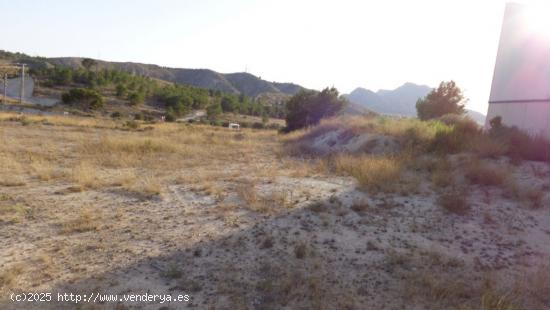 TERRENO INDUSTRIAL - ALICANTE