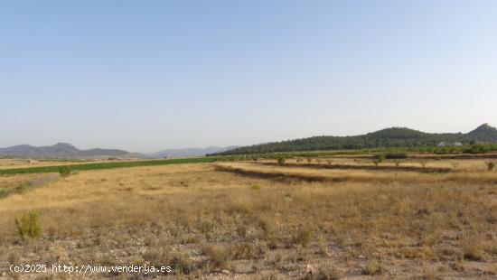 TERRENOS PARA CONSTRUIR EN SALINAS - ALICANTE