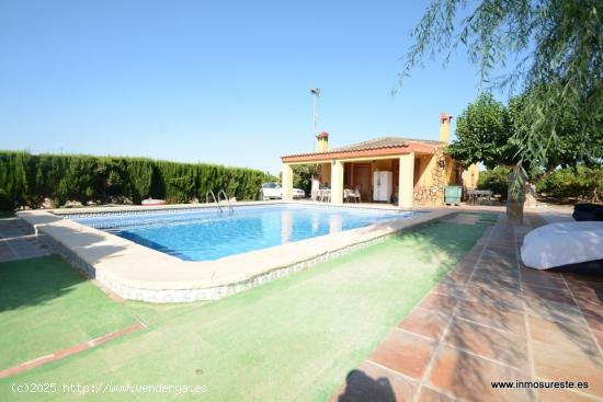 Chalet con parcela en Orihuela zona La Murada. Vivienda de 82 m2. con parcela de 12.700 m2. - ALICAN