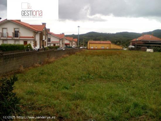 PARCELAS URBANAS, JUNTO A NOJA - CANTABRIA