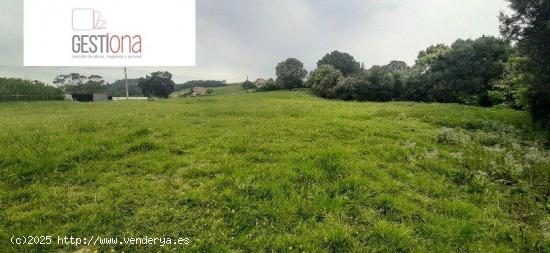 TERRENO URBANO EN ARNUERO. - CANTABRIA