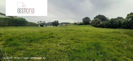 TERRENO URBANO EN ARNUERO. - CANTABRIA