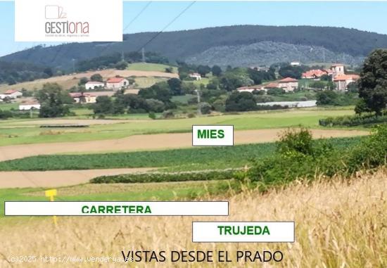 FINCA USO AGRICOLA 30.000M2 - CANTABRIA