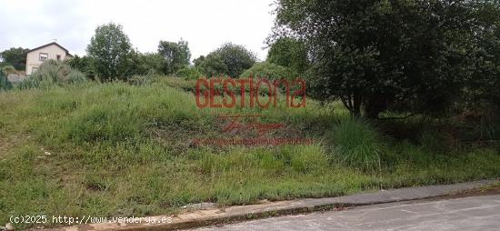 TERRENO URBANO EN SAN MAMES DE MERUELO. - CANTABRIA