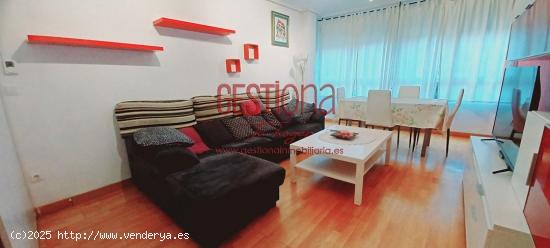 APARTAMENTO EN EL CENTRO DE TRETO. - CANTABRIA