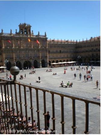 EXCLUSIVAS OFICINAS EN UN ENTORNO ESPECTACULAR - SALAMANCA