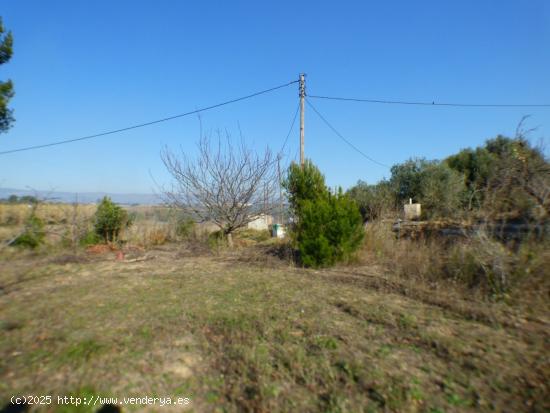 FINCA AGRÍCOLA MUY BIEN SITUADA EN LA PARTIDA BURGÀ DE RIUDOMS - TARRAGONA