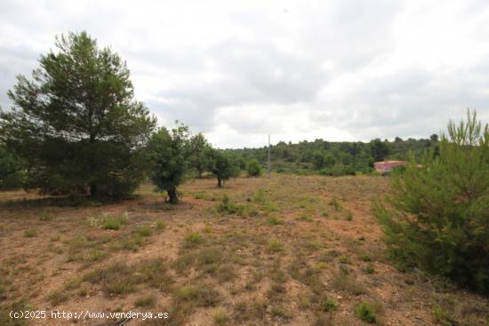  SUELO RÚSTICO EN VENTA (SOLAR) - VALENCIA 