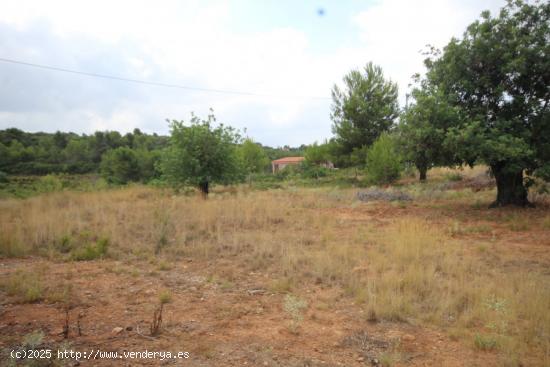 SUELO RÚSTICO EN VENTA (SOLAR) - VALENCIA