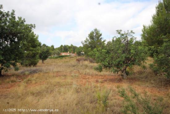 SUELO RÚSTICO EN VENTA (SOLAR) - VALENCIA