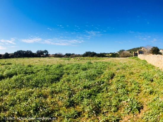 C-7035 - Casa de campo en Son Bou - BALEARES