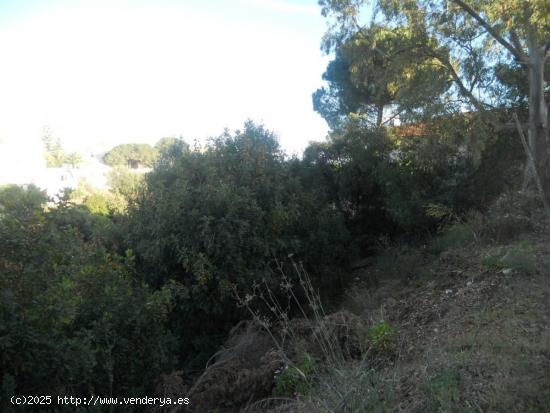  Parcela urbana para chalet independiente o casas pareadas - MALAGA 