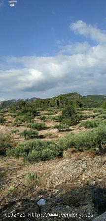 Finca Rústica de 17,61 hectáreas con masia - TARRAGONA