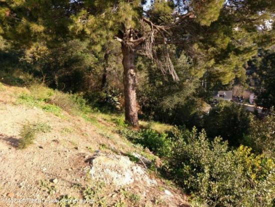 Terreno en la urbanizacion alta maresma - BARCELONA