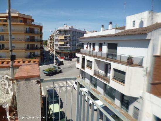 Casa y bar en la misma finca en pineda de Mar - BARCELONA