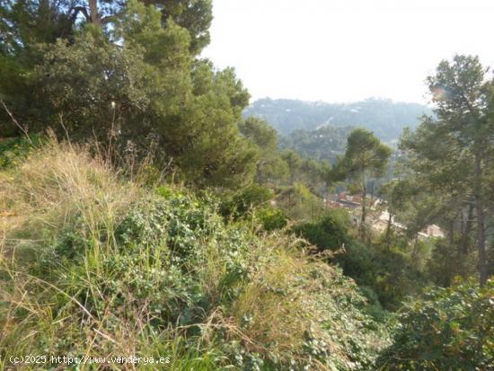 Terreno grande en Ciudad Jardin - BARCELONA