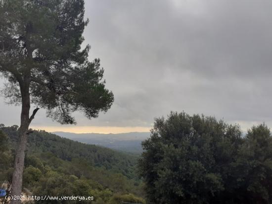 Terreno Edificable en Sant Feliu del Racò - BARCELONA