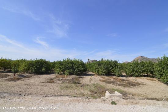  Se vende Terreno rural de 2.600m2 en la zona Vereda Los Cacheros en Santomera, Murcia. - MURCIA 