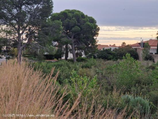 Gran terreno esquinero en centro de Miami Playa - TARRAGONA