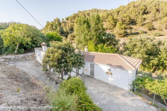  CORTIJO EN MONTEFRÍO!! - GRANADA 