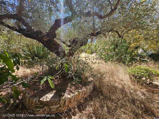 Parcela en venta en L Ametlla de Mar (Tarragona)