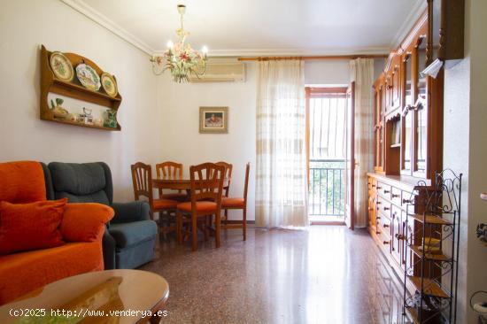 ESTUPENDO PISO CON PATIO ZONA AYUNTAMIENTO DE ELDA - ALICANTE