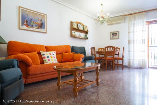 ESTUPENDO PISO CON PATIO ZONA AYUNTAMIENTO DE ELDA - ALICANTE