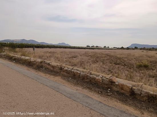 VENTA DE PARCELA EN LA ROMANA (ALICANTE) - ALICANTE