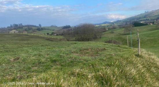 ¡Gran Oportunidad de Inversión en Ribadedeva! - ASTURIAS